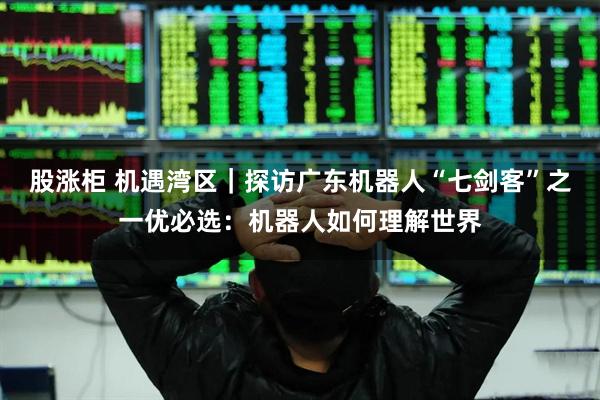 股涨柜 机遇湾区｜探访广东机器人“七剑客”之一优必选：机器人如何理解世界