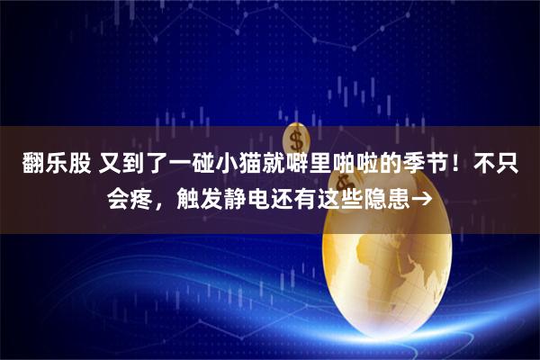 翻乐股 又到了一碰小猫就噼里啪啦的季节！不只会疼，触发静电还有这些隐患→